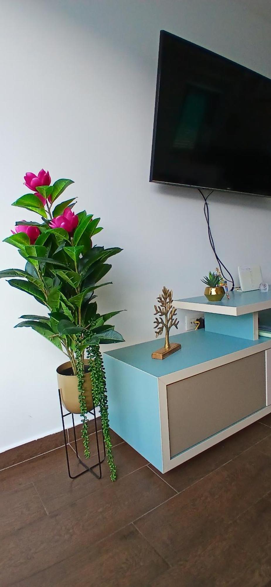 Apartment Funny Котор Экстерьер фото